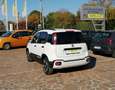 Fiat Panda 1.0 FireFly S&S Hybrid Pandina Cross Alb - thumbnail 3