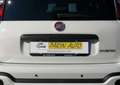 Fiat Panda 1.0 FireFly S&S Hybrid Pandina Cross Alb - thumbnail 4