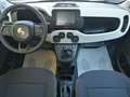 Fiat Panda 1.0 FireFly S&S Hybrid Pandina Cross Alb - thumbnail 14
