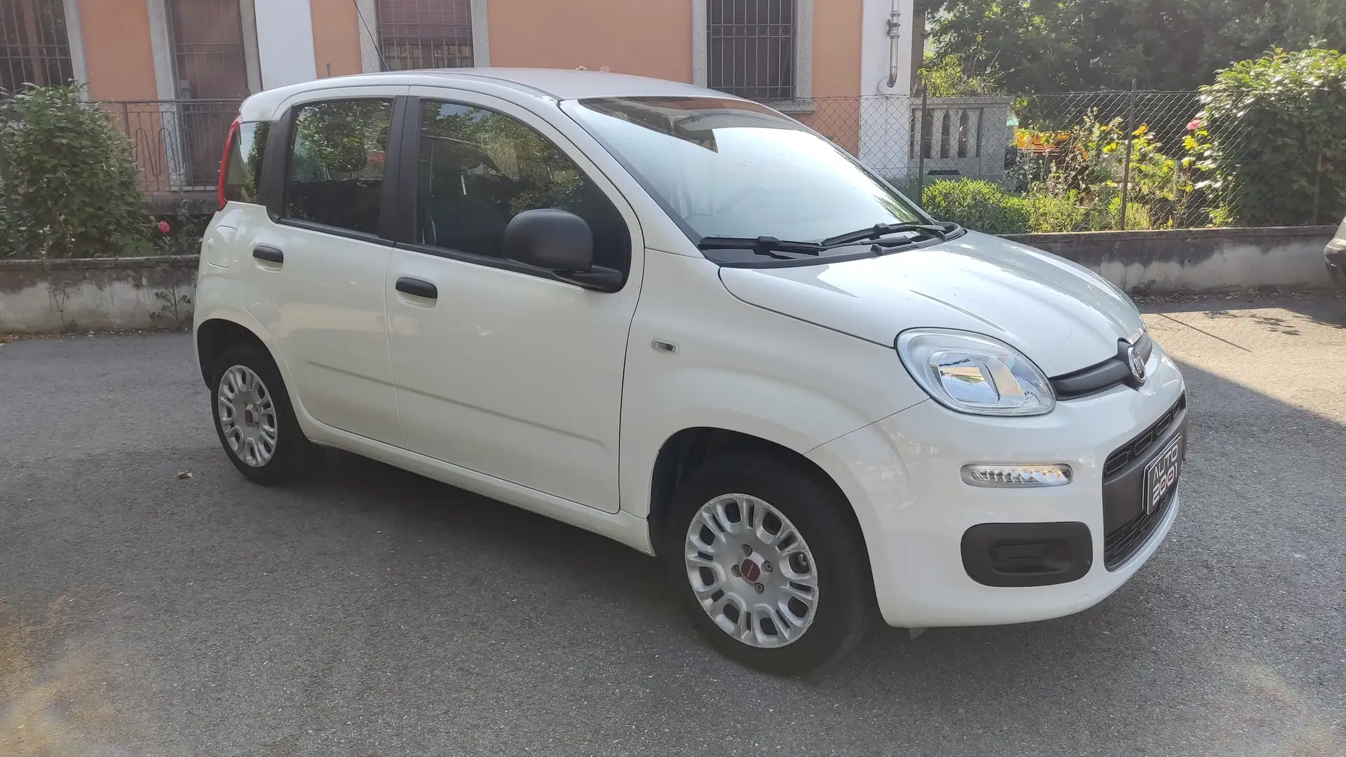 Fiat Panda FIAT PANDA 1.2 Easy s&s 69cv Bianco - 2