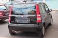 Fiat Panda 1.2 8V Dynamic Klimaautomatik Schwarz - thumbnail 5