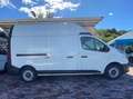 Renault TRAFIC Blanc - thumbnail 1