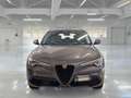 Alfa Romeo Stelvio 2.2 Turbo Diesel 190CV Sprint AT8 RWD - thumbnail 2