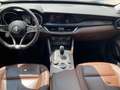 Alfa Romeo Stelvio Stelvio 2.2 t Executive Q4 190cv auto MY19 Nero - thumbnail 8