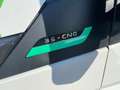 Iveco Daily Bianco - thumbnail 8