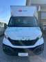 Iveco Daily Bianco - thumbnail 3