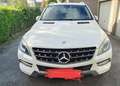 Mercedes-Benz ML 350 BlueTEC 4MATIC 7G-TRONIC - thumbnail 1