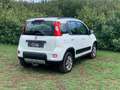 Fiat Panda Panda III 2012 4x4 1.3 mjt 16v 4x4 75cv Blanco - thumbnail 6
