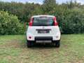 Fiat Panda Panda III 2012 4x4 1.3 mjt 16v 4x4 75cv Blanco - thumbnail 5