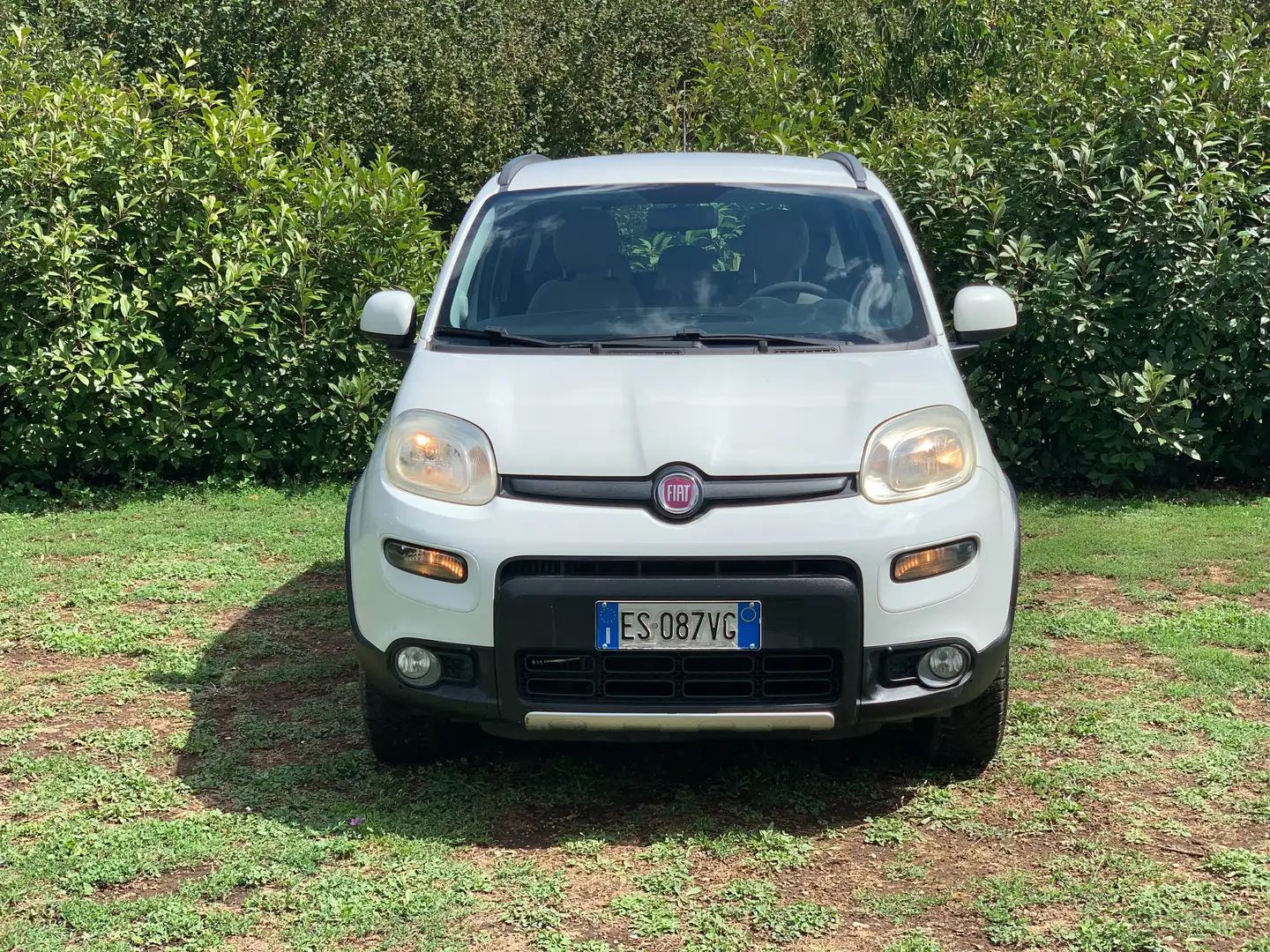 Fiat Panda Panda III 2012 4x4 1.3 mjt 16v 4x4 75cv Blanco - 2