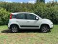 Fiat Panda Panda III 2012 4x4 1.3 mjt 16v 4x4 75cv Blanco - thumbnail 9
