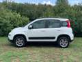 Fiat Panda Panda III 2012 4x4 1.3 mjt 16v 4x4 75cv Blanco - thumbnail 8