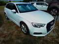 Audi A3 Sporback Business 2.0 TDI S-tronic 150cv Bianco - thumbnail 1