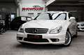 Mercedes-Benz CLS 500 M113 AMG Sportpaket designo Schiebedach Blanc - thumbnail 30
