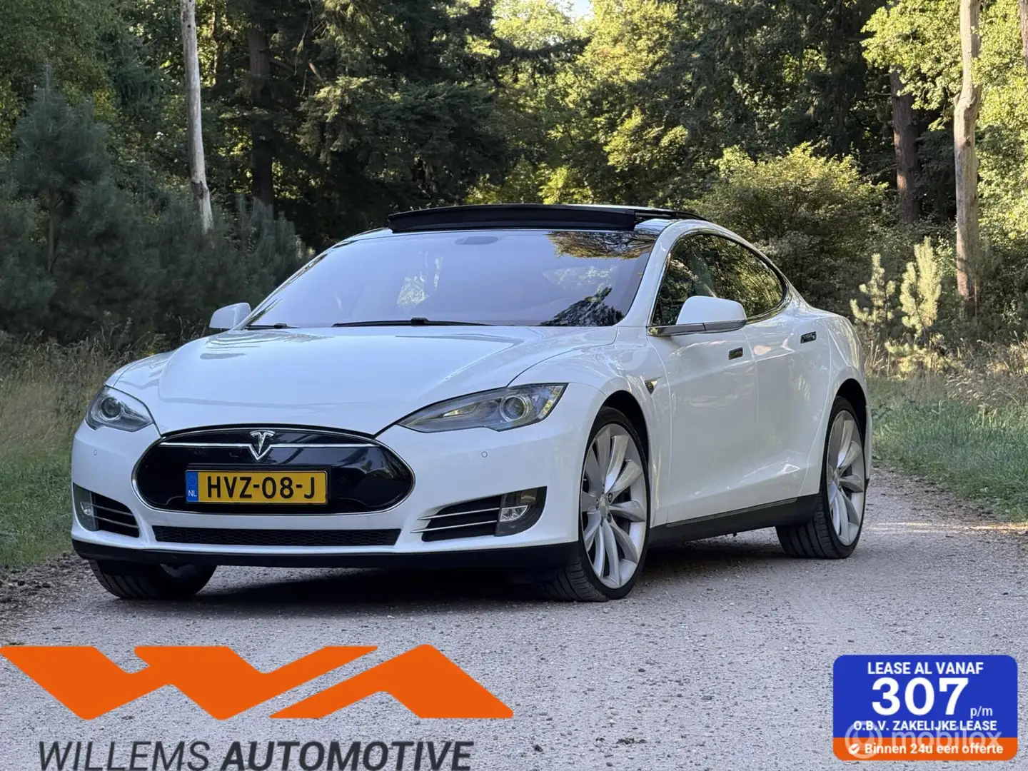 Tesla Model S 85 Base Free Supercharge SC01 Bianco - 1