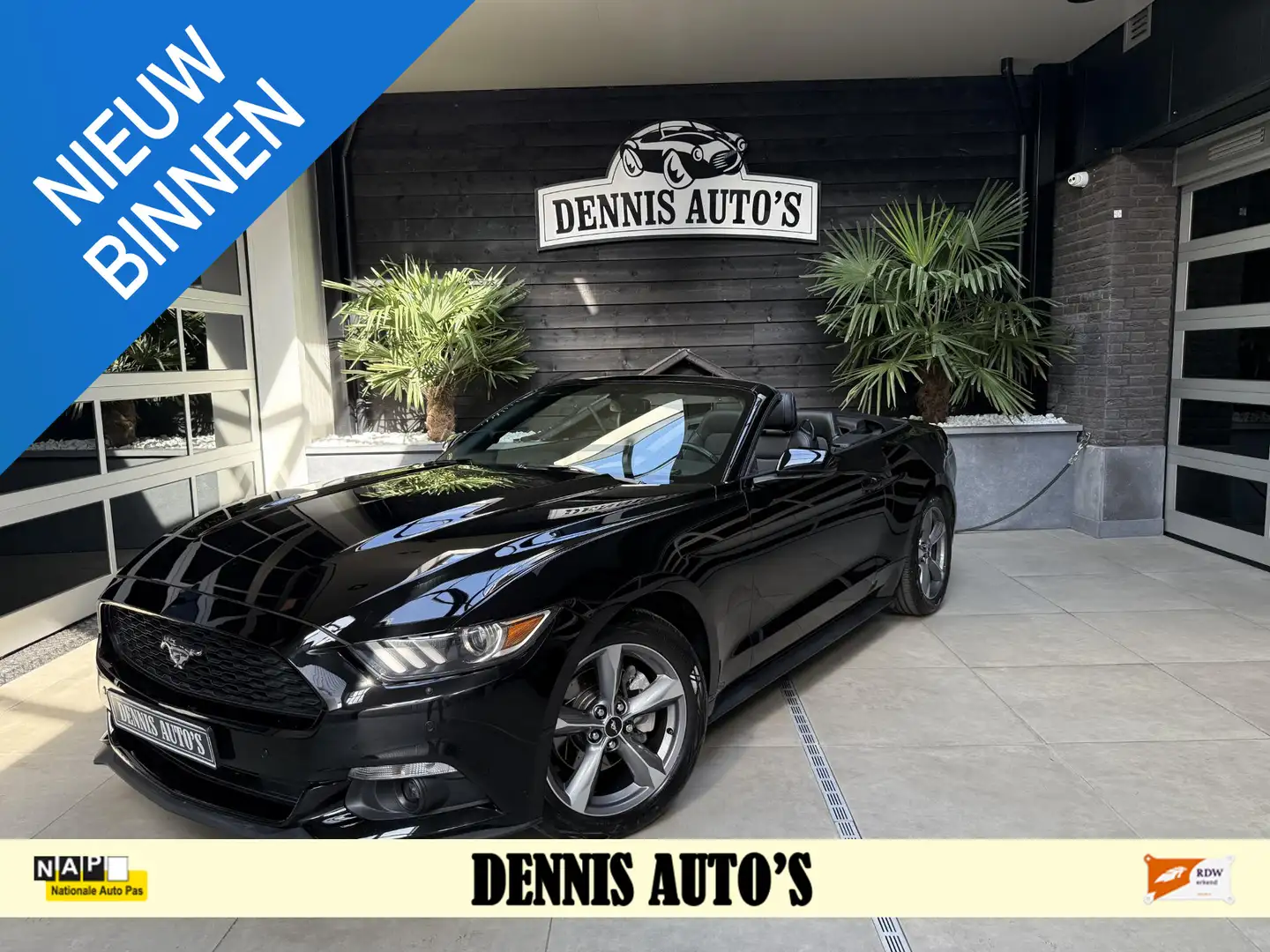 Ford Mustang USA 3.7 V6 UNIEK IN NEDERLAND !!! Schwarz - 1