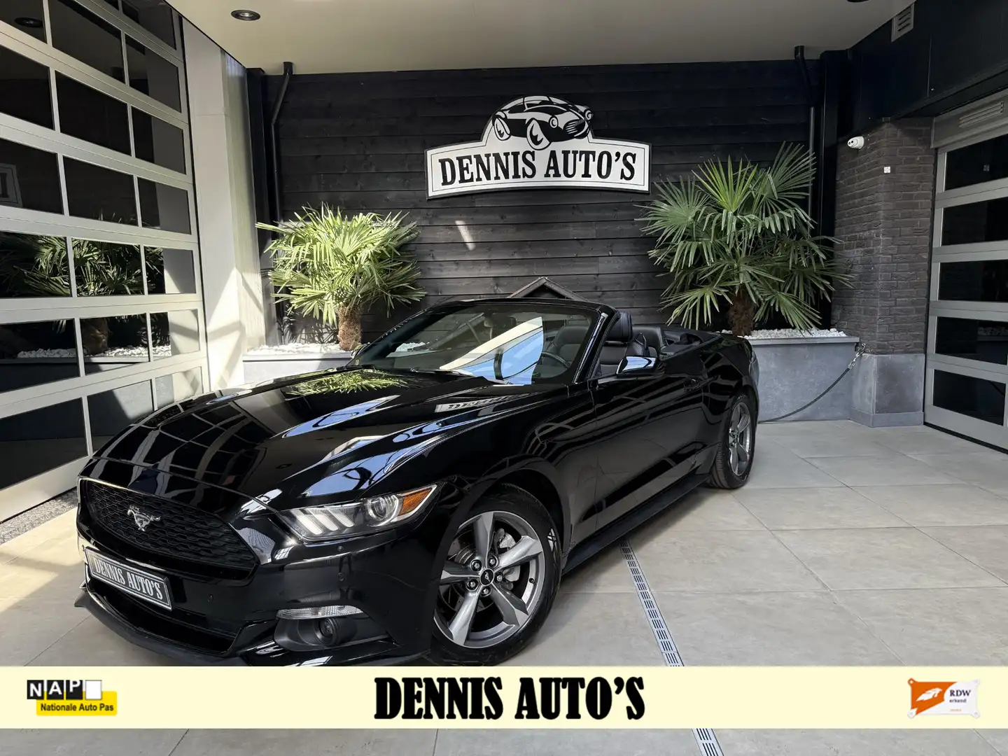 Ford Mustang USA 3.7 V6 UNIEK IN NEDERLAND !!! Noir - 1