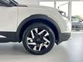 Opel Mokka OPEL Mokka 1.5 diesel 110 CV Elegance - 2022 Blanco - thumbnail 24