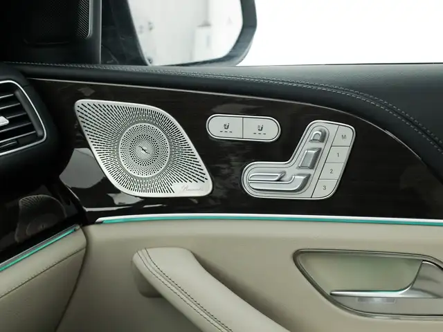 Mercedes-Benz Gle view 19