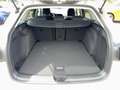 Volkswagen Golf Variant Move TSi Matrix 4xSHZ ACC AHK Kam. Silber - thumbnail 12