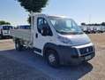 Fiat Ducato Maxi 35 2.3Mjet 130cv Cassone Ribaltabile Tril. Bianco - thumbnail 3