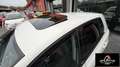 Volkswagen Golf DISTRIBUZIONE ESEGUITA PERFETTA Golf Business 2.0 Blanc - thumbnail 13