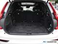 Volvo XC90 T8 Recharge AWD R-Design Edition 7.Sitzer Weiß - thumbnail 28