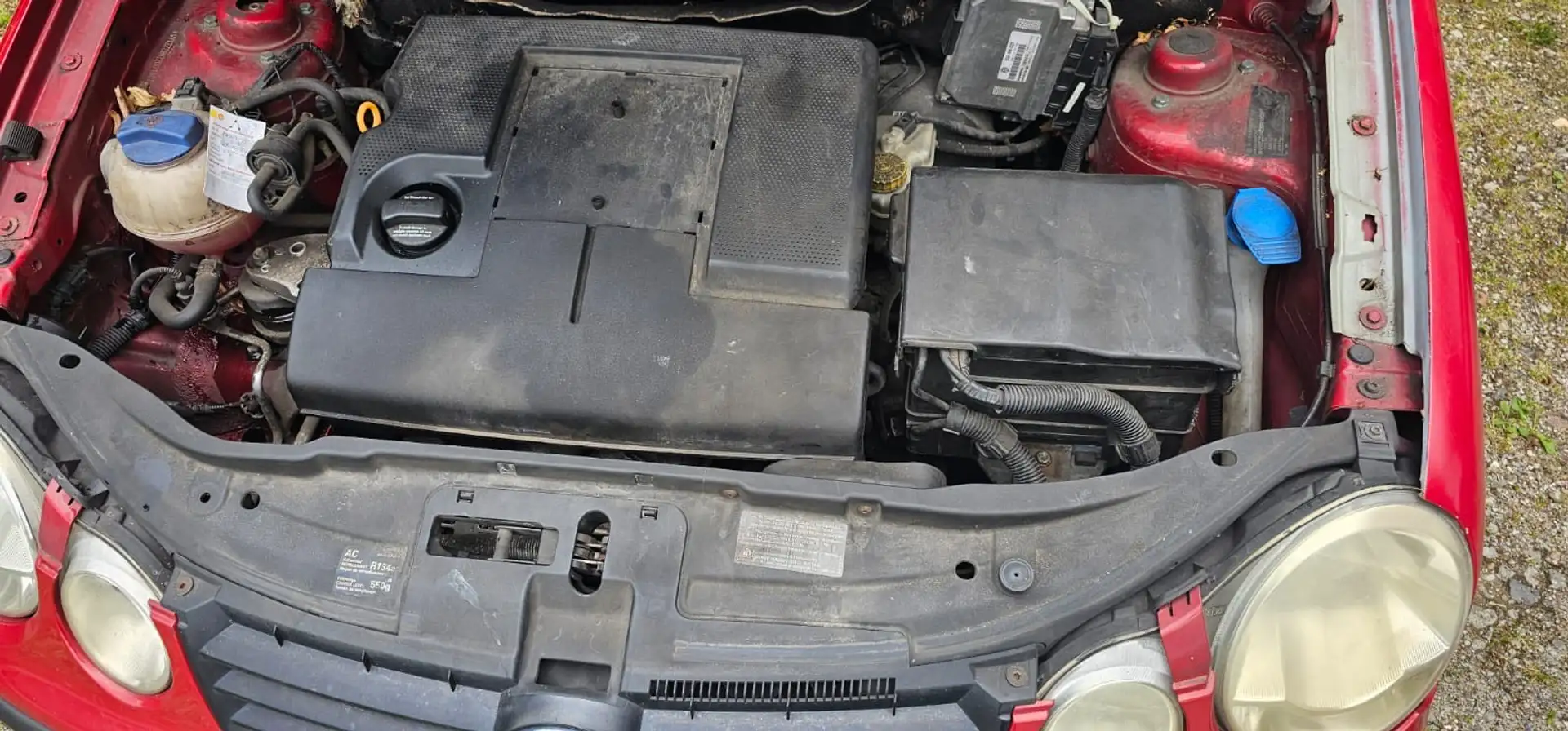 Volkswagen Polo Edition - 1