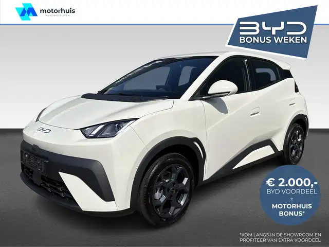 BYD Dolphin Surf