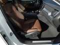 Volvo XC60 D4 Geartronic Momentum / EURO 6d-TEMP / A+ Bianco - thumbnail 10