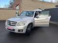 Mercedes-Benz GLK 220 CDI 4-Matic ELEC ZET CRUIS FUL OPTI MARCHAN-EXPORT Gris - thumbnail 22