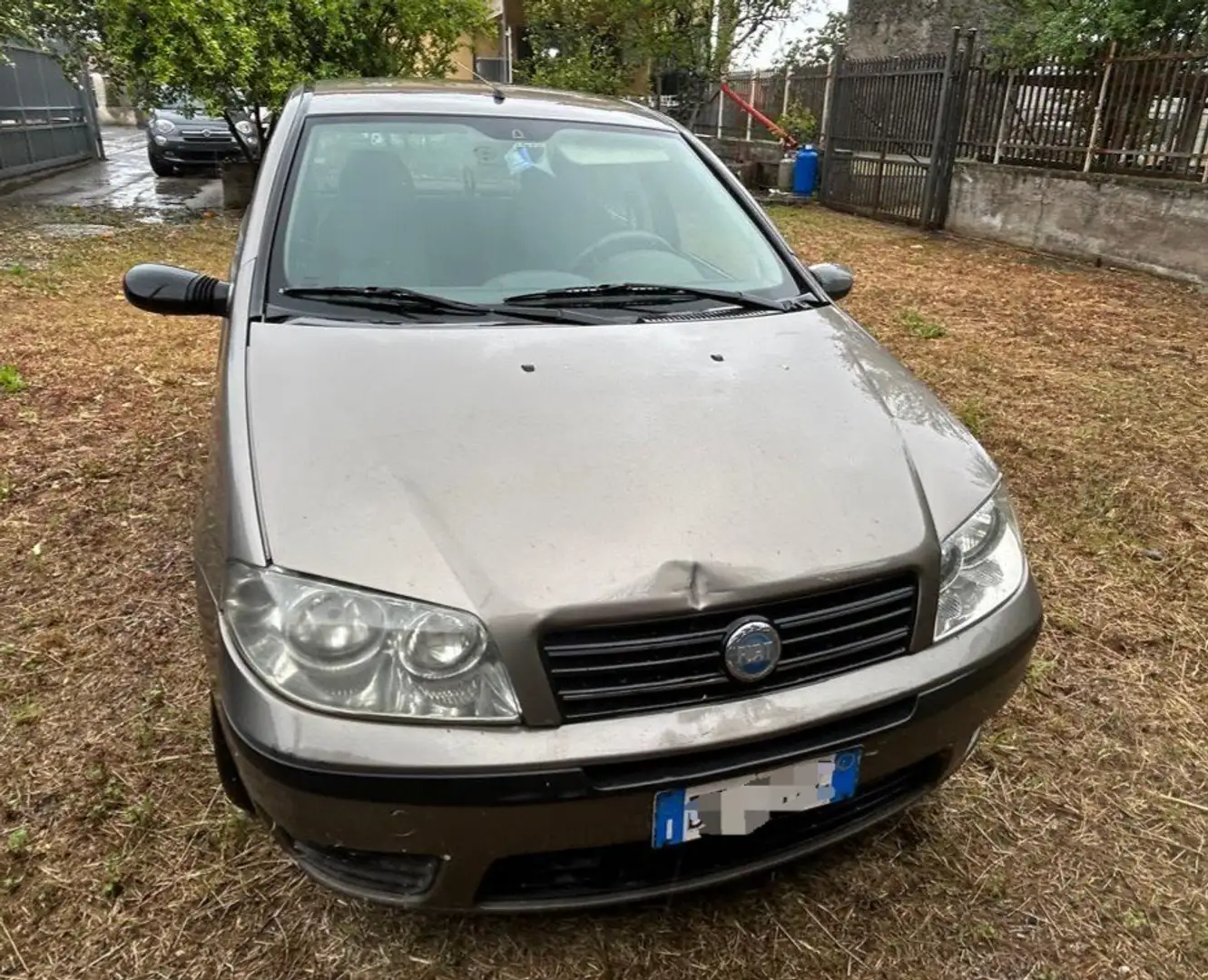 Fiat Punto 5p 1.3 mjt 16v Dynamic - 2