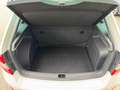 Skoda Rapid/Spaceback 1.6cc 105CV NEOPATENTATI Weiß - thumbnail 15