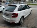 Skoda Rapid/Spaceback 1.6cc 105CV NEOPATENTATI Weiß - thumbnail 3