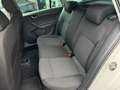 Skoda Rapid/Spaceback 1.6cc 105CV NEOPATENTATI Weiß - thumbnail 14