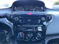 Lancia Ypsilon 1.2 69 CV 5 porte Gold Nero - thumbnail 13