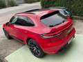 Porsche Macan MY 2022 2.0 T 265cv PDK Tetto Panoramico Rosso - thumbnail 4
