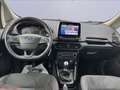 Ford EcoSport 1.0 ecoboost ST-Line s&s 125cv Blanc - thumbnail 13