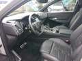 DS Automobiles DS 7 Crossback E-TENSE 4x4 LOUVRE Hifi Panodach Night Vision Grau - thumbnail 9