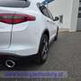 Alfa Romeo Stelvio Weiß - thumbnail 10