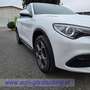 Alfa Romeo Stelvio Weiß - thumbnail 11