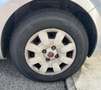 Fiat Panda 1.2 Dynamic Eco CLIMA + BARRE PORTATUTTO Grau - thumbnail 7