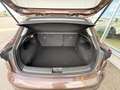 Fiat Tipo Cross Braun - thumbnail 15