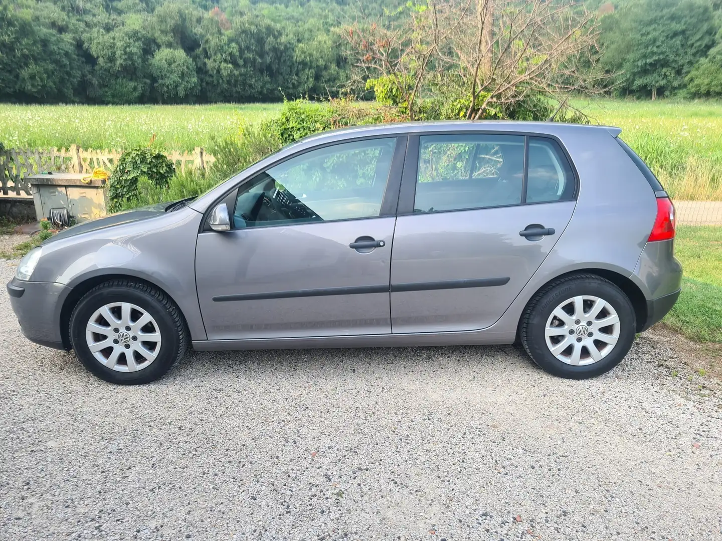 Volkswagen Golf 5p 1.9 tdi Comfortline - 1