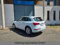Audi Q5 3.0 TDI  quattro Leder CAM Xenon Navi Weiß - thumbnail 3