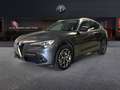 Alfa Romeo Stelvio 2.2 Turbo Diesel 190CV Ti AT8 Q4 Grigio - thumbnail 1