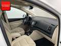 Volkswagen Sharan 2.0 TDI Highline 7SITZ+ACC+KAMERA+CARPLAY Blanc - thumbnail 17