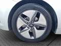 Hyundai IONIQ Hybrid PREMIUM *LEDER*KLIMASITZ*CAM*CARPLAY* Gris - thumbnail 6