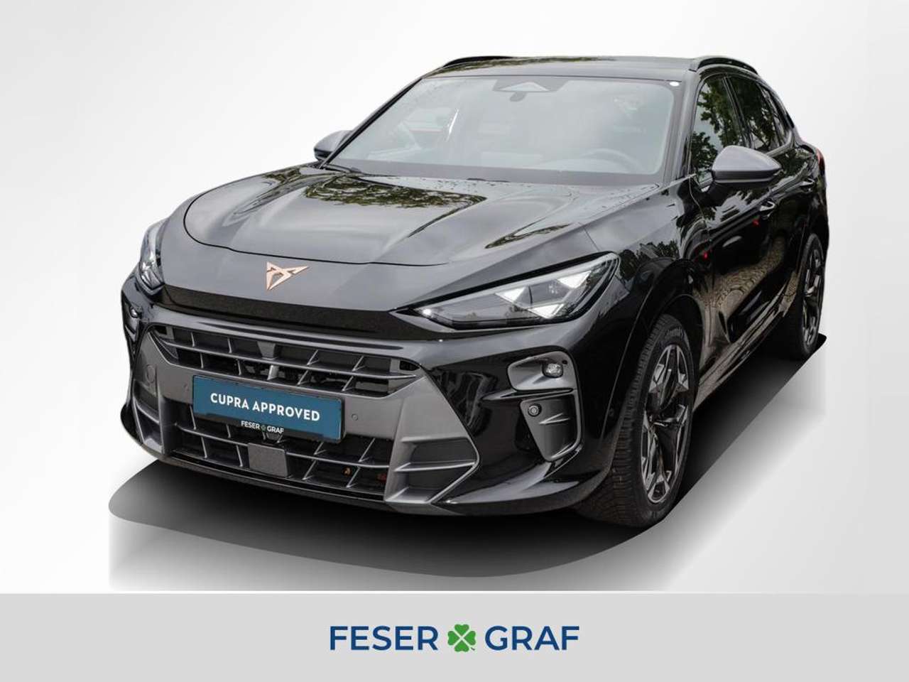 Cupra Terramar 2025