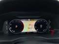 Skoda Superb 4x4 Ambition TDI DSG Grau - thumbnail 18